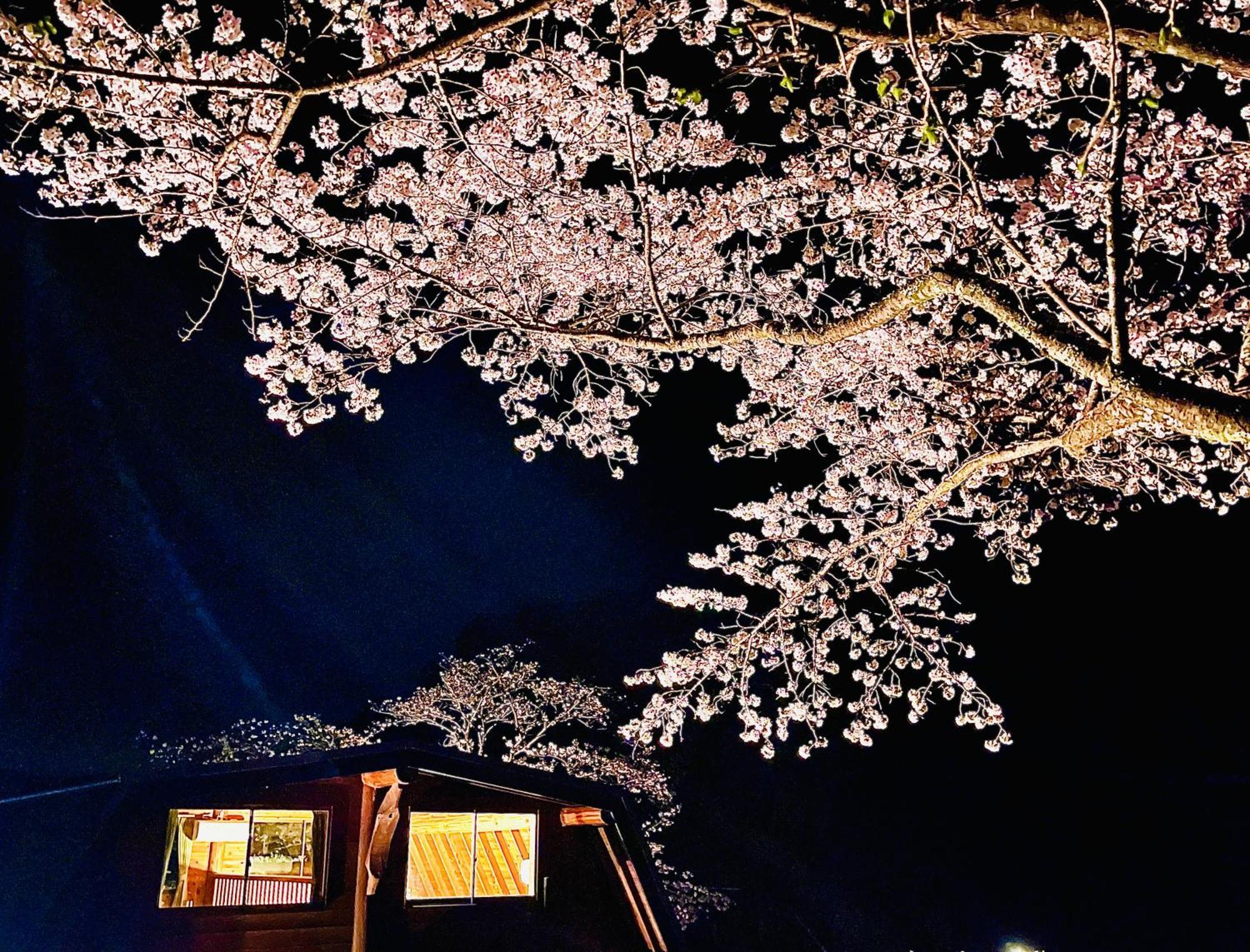 酒店 Pension Shishikui Shishikui
