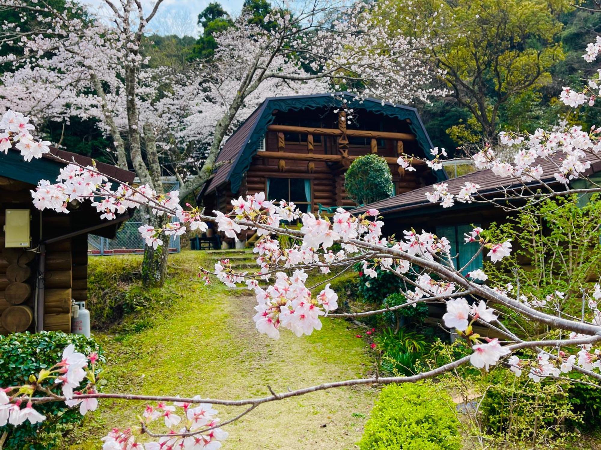 Pension Shishikui 2* Shishikui