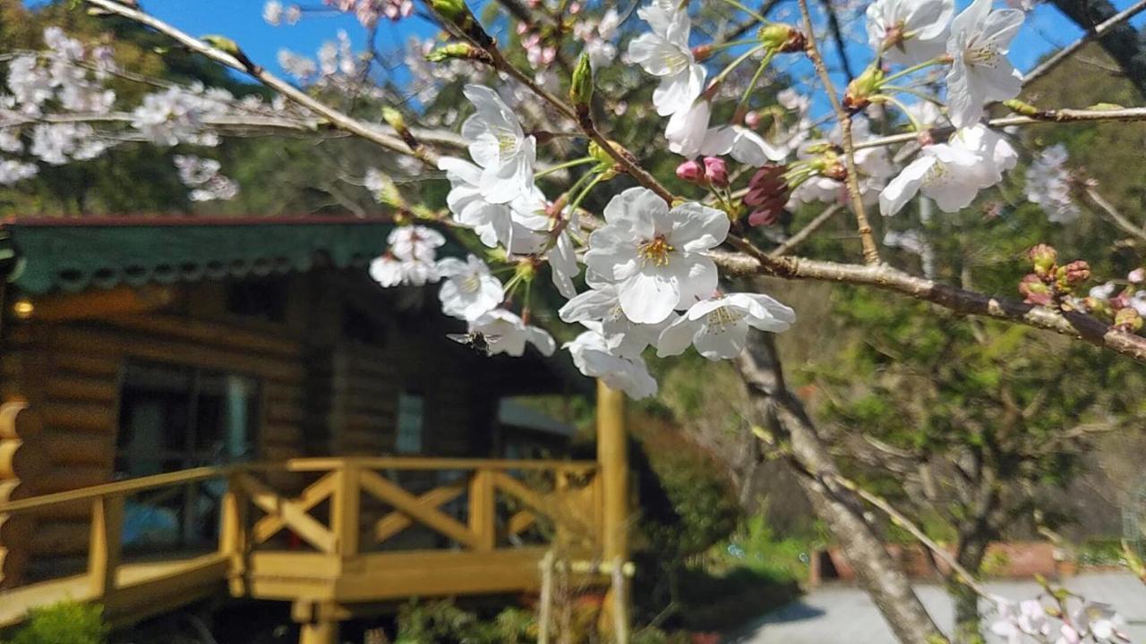 酒店 Pension Shishikui